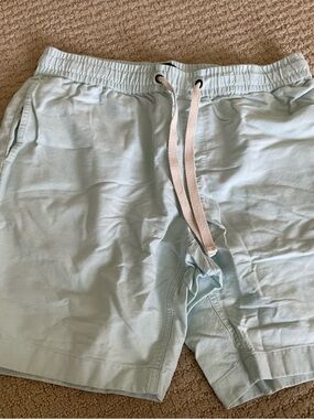 J. Crew Pale Mint Stadium Shorts